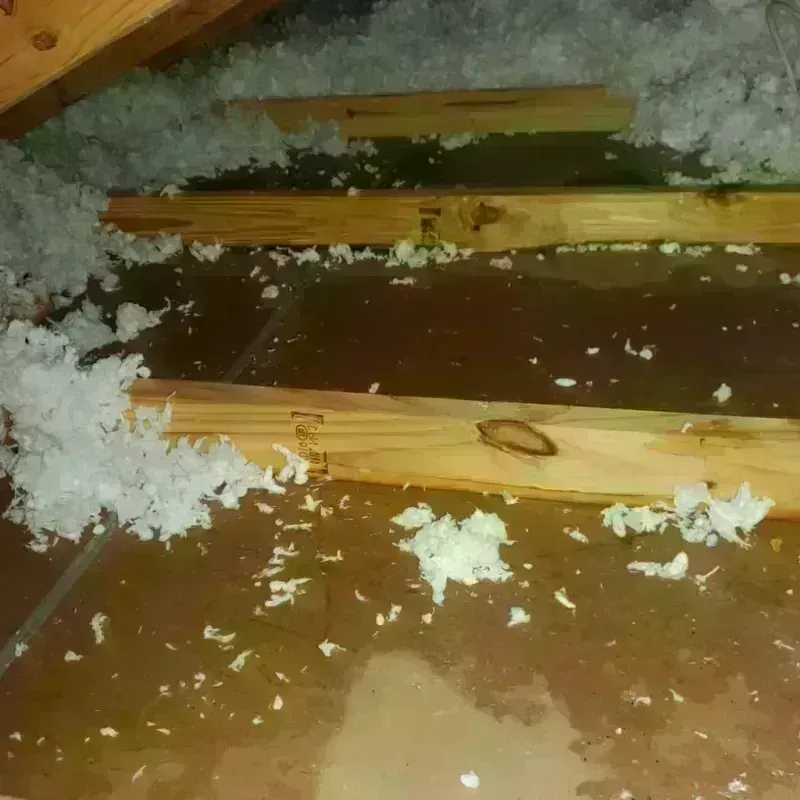 Attic Water Damage in Phelps County, NE