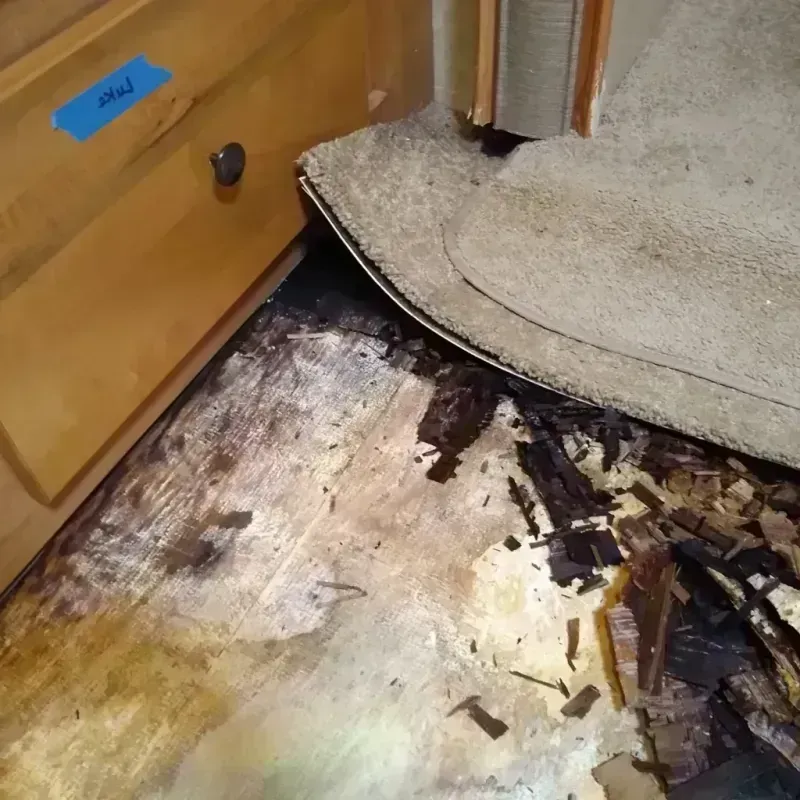 Wood Floor Water Damage in Phelps County, NE